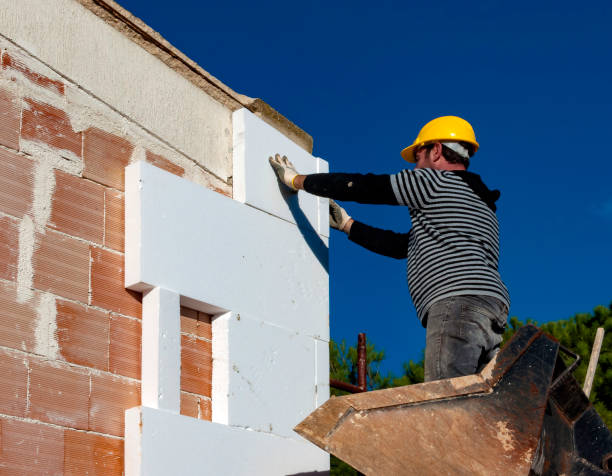 Best Eco-Friendly Insulation in Toledo, IA