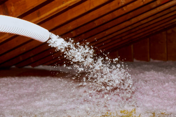 Best DIY Insulation Kits and Guidance in Toledo, IA
