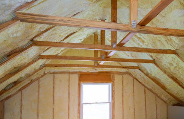 Best Cellulose Insulation in Toledo, IA