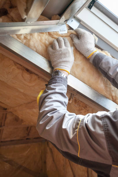 Best Geographic-Specific Insulation Services in Toledo, IA
