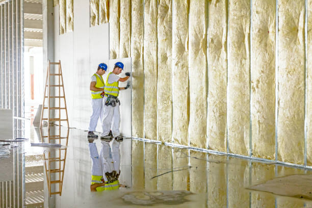 Best Spray Foam Insulation in Toledo, IA